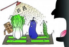 農(nóng)藥危害大？農(nóng)藥殘留檢測(cè)儀來(lái)幫忙